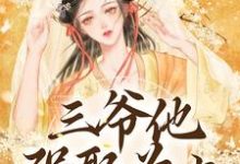 完结版三爷他强娶为上在哪免费看，林知意小说在线阅读-阳光书屋