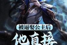 被逼娶公主后，他直接坐了皇位精彩章节阅读(王修苏晚晴)免费阅读大结局-阳光书屋