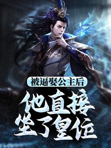 被逼娶公主后，他直接坐了皇位精彩章节阅读(王修苏晚晴)免费阅读大结局