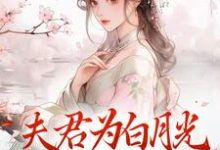 跪求主角是宋絮晚季墨阳的小说书名叫什么-阳光书屋