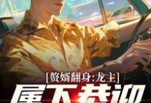 叶尘林含雪小说的结局在哪可以看，赘婿翻身：龙主，属下恭迎您归位免费阅读完结版-阳光书屋