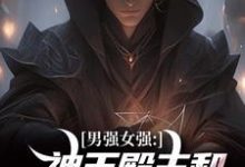 男强女强：神王殿主和女特工闪婚了无弹窗林晨叶寒霜最新章节列表-阳光书屋