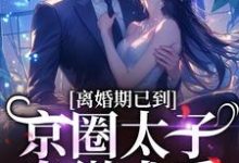 离婚期已到!京圈太子卑微求爱完结版沈青瓷席星野免费阅读大结局-阳光书屋