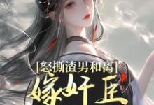 怒撕渣男和离，嫁奸臣高攀不起精彩章节阅读(沈蕴之宋窈窈)免费阅读大结局-阳光书屋