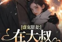 盛宠甜妻：在大叔怀里沦陷完结版安姩盛怀安免费阅读大结局-阳光书屋