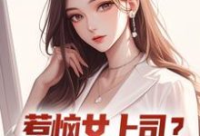 张文定最新章节惹恼女上司？我有妙计摆平免费阅读-阳光书屋