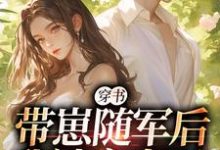 跪求主角是沈淮初陆云琛的小说书名叫什么-阳光书屋
