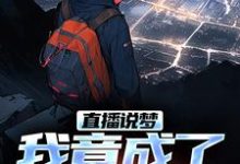 主人公是申媛的小说直播说梦，我竟成了预言家免费阅读-阳光书屋