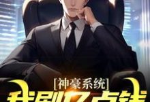 神豪系统：我刷亿点钱不过分吧？完结版何起墨免费阅读大结局-阳光书屋