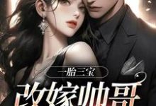 一胎三宝，改嫁帅哥就是宠！热门小说(林清月傅行舟)在线阅读无弹窗-阳光书屋