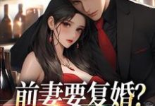 求助这本前妻要复婚?我让她跪着滚小说在哪里可以看完结版-阳光书屋