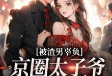 被渣男辜负，京圈太子爷化身治愈系大结局，沈颜季辞渊小说无广告阅读-阳光书屋