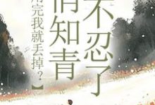 利用完我就丢掉？俏知青她不忍了（许语嫣叶修远）最新章节在线阅读-阳光书屋