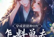 穿成猪猪种田忙,怎料兽夫太黏猪热门小说(穆九溪)在线阅读无弹窗-阳光书屋