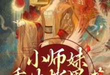 精彩章节阅读小师妹重生撕黑莲,炸翻宗门(凤锦许墨)免费小说在线看-阳光书屋