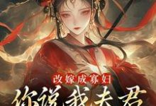 改嫁成寡妇，你说我夫君又复活了？（顾逸珩宋芜）完结版免费阅读-阳光书屋