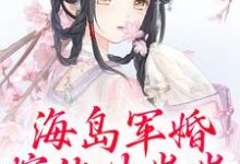 求助这本海岛军婚:嫁他生崽崽小说在哪里可以看完结版-阳光书屋