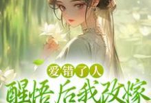 爱错了人，醒悟后我改嫁权王你哭啥（唐瑈嘉秦斯珩）完结版免费阅读-阳光书屋