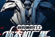 寒假兼职打工，你农机厂里开出空天航母？（主角季成）完结版免费阅读-阳光书屋