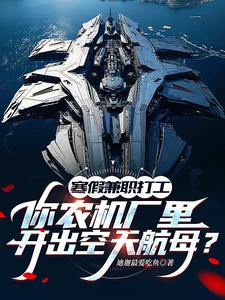 寒假兼职打工，你农机厂里开出空天航母？免费阅读，季成大结局无弹窗