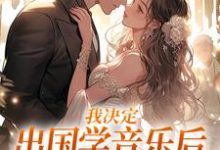 精彩章节阅读我决定出国学音乐后，大律师后悔了(宋棉贺淮川)免费小说在线看-阳光书屋