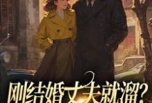 刚结婚丈夫就溜?姐真不吃人!小说最新章节在哪里可以免费看-阳光书屋