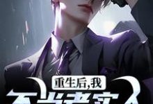 完结版重生后，我不当老实人当浪子！在哪免费看，秦守赵瑞龙小说在线阅读-阳光书屋