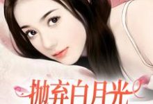 抛弃白月光，我爱上了童养媳热门小说(柯望巷钟昭)在线阅读无弹窗-阳光书屋