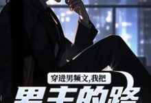 求助这本穿进男频文，我把男主的路给堵了！小说在哪里可以看完结版-阳光书屋