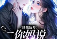 跪求主角是苏苒染霍司霆的小说书名叫什么-阳光书屋