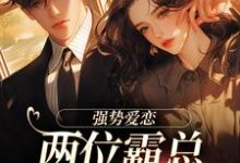 求助这本纵意沉沦小说在哪里可以看完结版-阳光书屋