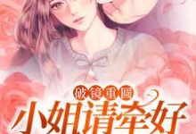 破镜重圆：小姐请牵好我的余生（主角宋一伟林雨晴）完结版免费阅读-阳光书屋