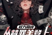 权力巅峰:从替罪羊登上青云之巅大结局,高峰小说无广告阅读-阳光书屋