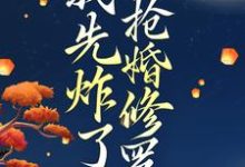 小说穿越后,我先炸了抢婚修罗场主角叶楚月轩辕宸免费阅读-阳光书屋