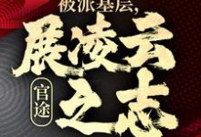官途：被派基层，展凌云之志免费阅读，楚昊宇大结局无弹窗-阳光书屋