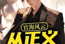 小说官海风云:从正义开始主角何强免费阅读-阳光书屋