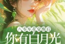 精彩章节阅读八零军花觉醒后，你有白月光我改嫁(宋佳茵杜知知)免费小说在线看-阳光书屋