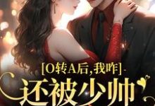 跪求主角是池影霍时晏的小说书名叫什么-阳光书屋
