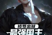 修罗出狱：最强国主身份震撼世界（叶枫）完结版免费阅读-阳光书屋