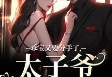 跪求主角是江颜厉霆骁的小说书名叫什么-阳光书屋