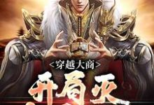 穿越大商,开局灭十万叛军(主角殷寿姬发)完结版免费阅读-阳光书屋