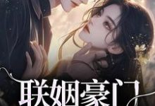 跪求主角是沈心姿陆仲廷的小说书名叫什么-阳光书屋