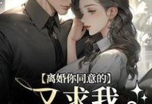 离婚你同意的，又求我复婚干什么无弹窗沈青漓周晏辰最新章节列表-阳光书屋