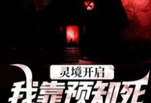 陈冥肖洁最新章节灵境开启,我靠预知死亡技能无敌免费阅读-阳光书屋