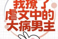 为了活命，我撩了虐文中的大病男主（林瑧陆厌）完结版免费阅读-阳光书屋