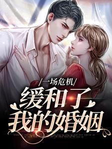 主人公是南迦北铮的小说一场危机，缓和了我的婚姻免费阅读
