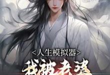 人生模拟器:我被老婆逼成世间极境免费阅读,白棋陈北玄大结局无弹窗-阳光书屋