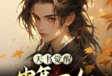 跪求主角是柳如月陈天极的小说书名叫什么-阳光书屋