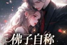 完结版佛子自称空巢老男人？我真的笑了在哪免费看，苏晚杳傅慎廷小说在线阅读-阳光书屋