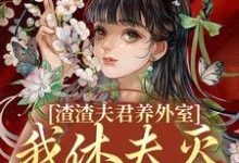 小说渣渣夫君养外室，我休夫灭妾另高嫁主角叶宛卿萧时衍免费阅读-阳光书屋